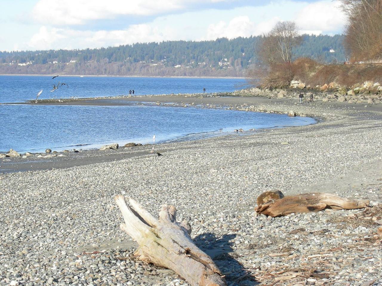 North Beach, Seattle-area real estate