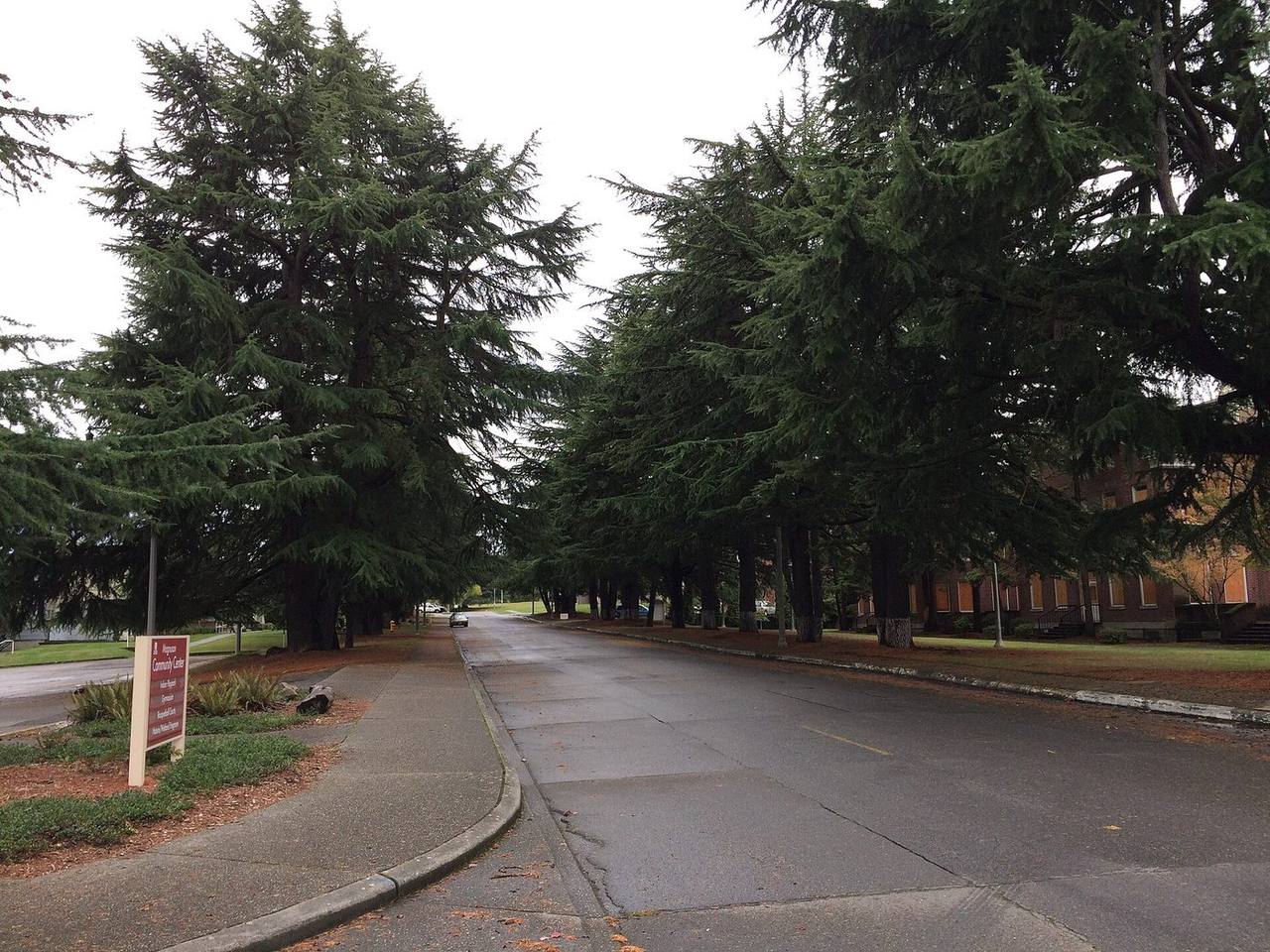 Sand Point, Seattle-area real estate