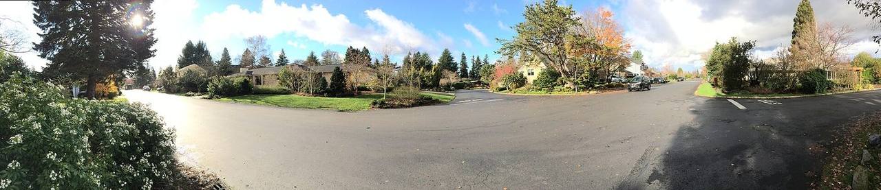 View Ridge, Seattle-area real estate